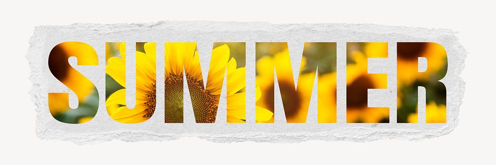 Summer word, torn paper graphic, yellow sunflowers