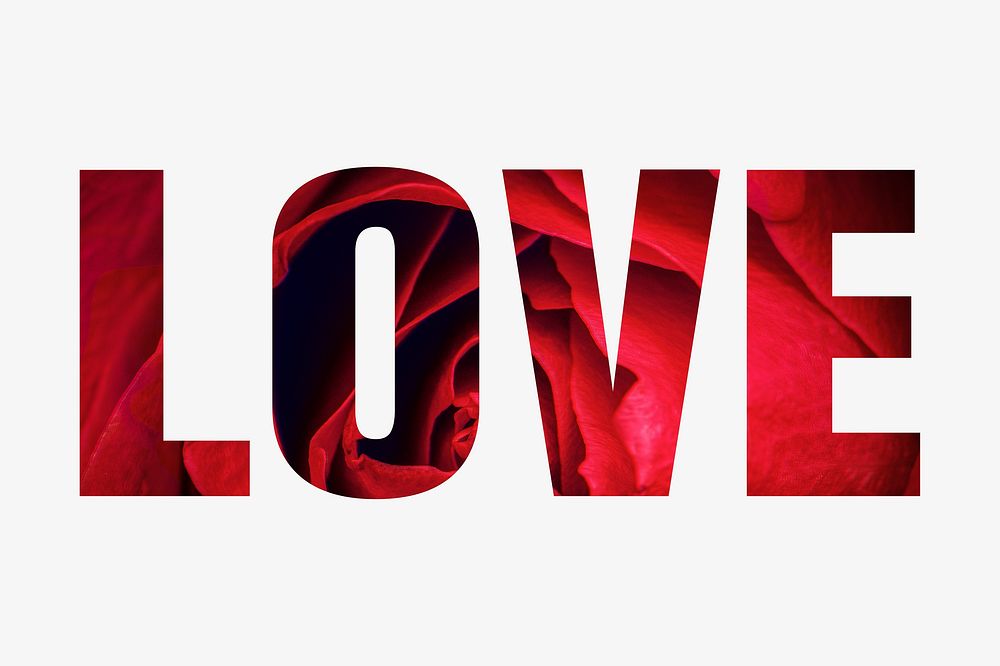 Love word typography, red roses for valentines day