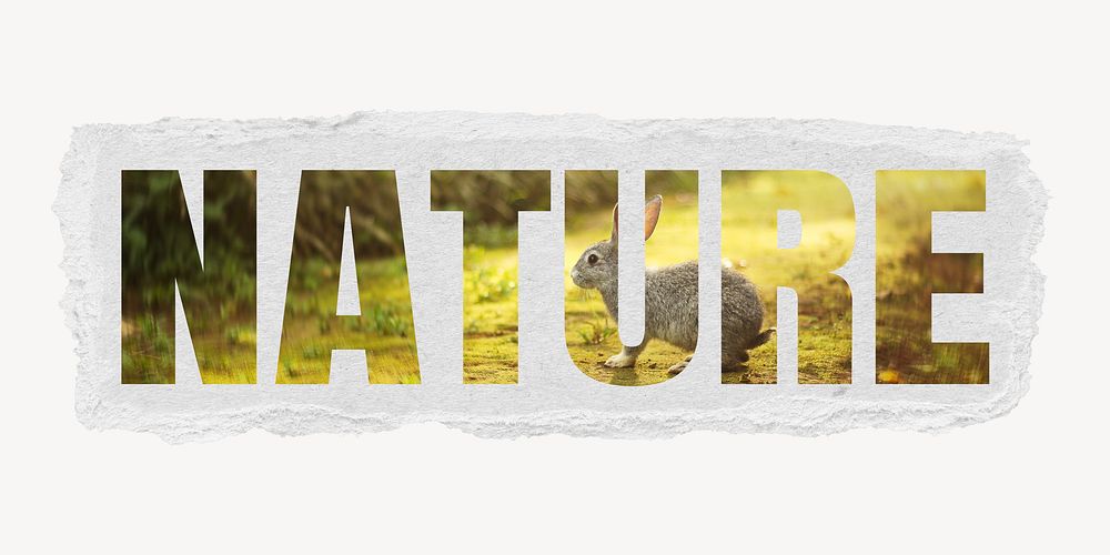 Nature word, ripped paper graphic, wild animal outdoors