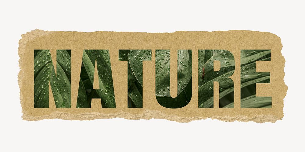 Nature word, torn paper graphic, green jungle leaves