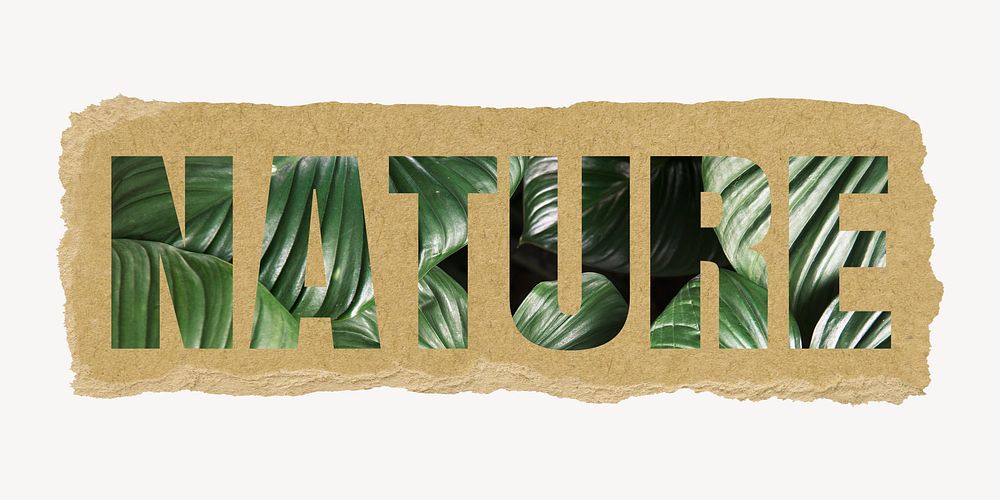 Nature word, ripped paper graphic, green tropical leaves