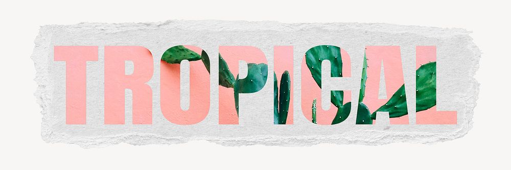 Tropical word, ripped paper graphic, cactus in pink