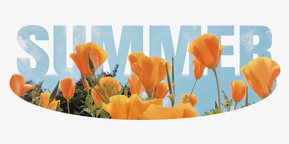 Summer word, poppy flower, poppy design typography
