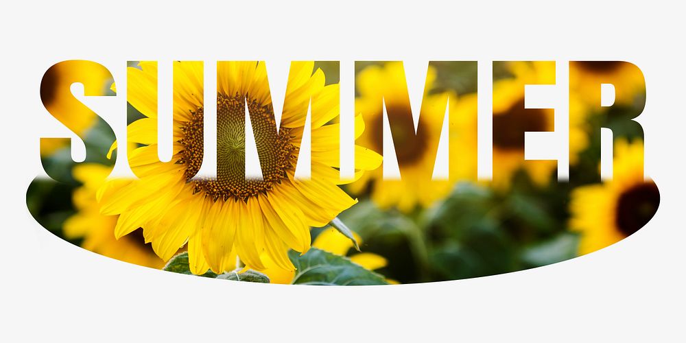 Summer word, sunflower, flower design typography