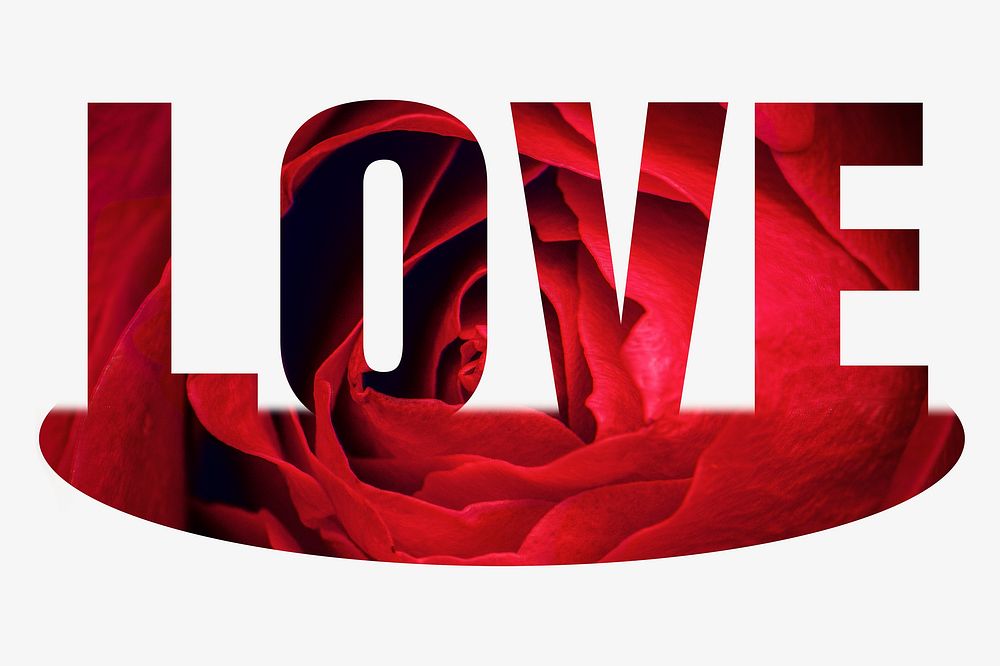 Love word, red rose design typography