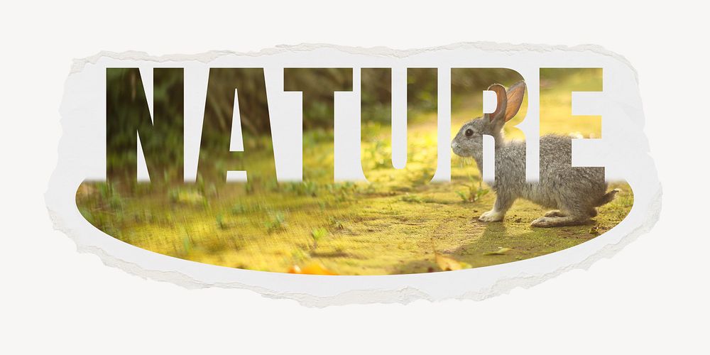 Nature word, torn paper, rabbit design