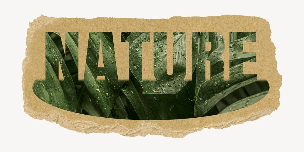 Nature word, torn paper,  leaf design