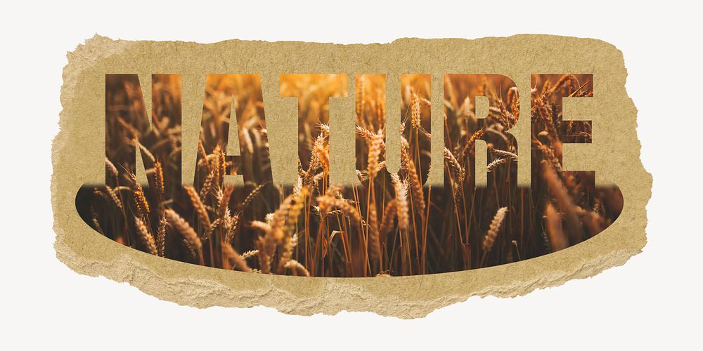Nature word, torn paper, barley field design