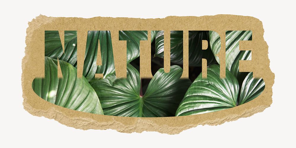 Nature word, torn paper, green leaf design