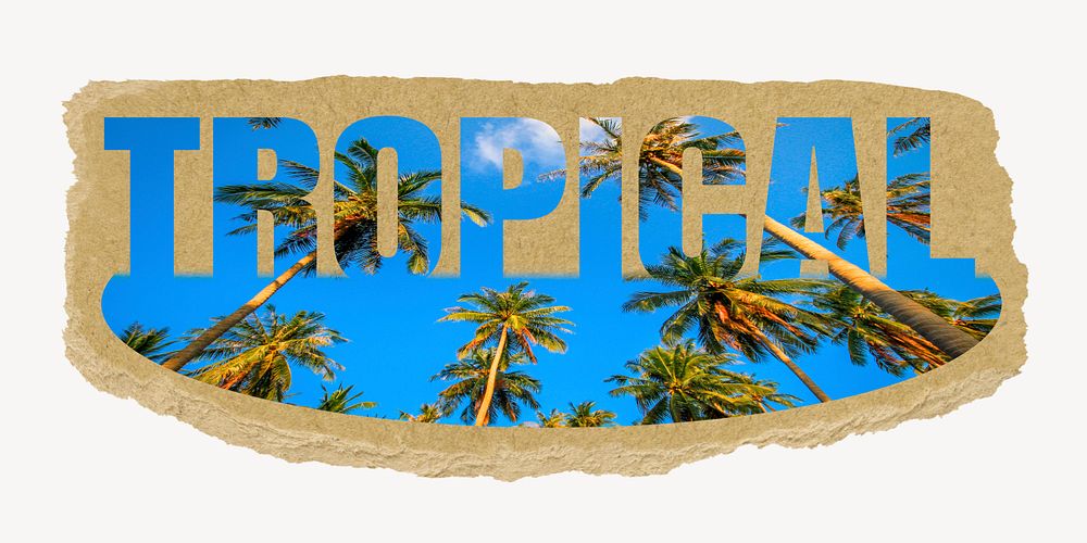 Tropical word, torn paper, palm tree design