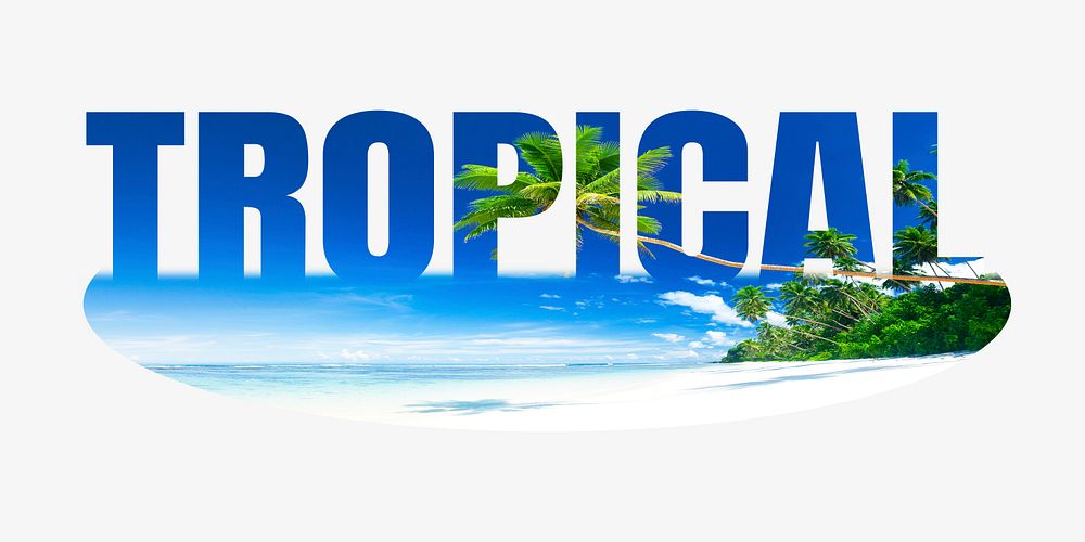 Tropical word, palm tree design typography