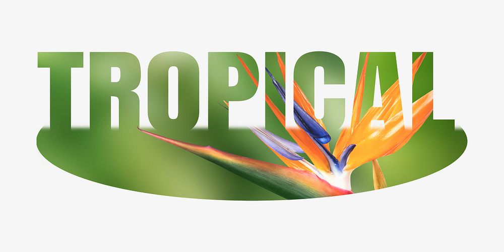 Tropical word, bird of paradise design typography