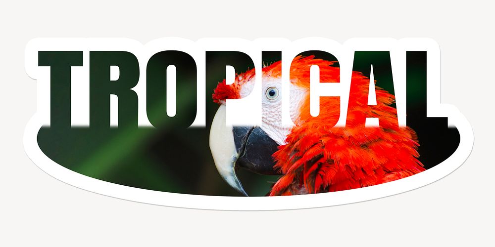 Tropical word, white border sticker typography