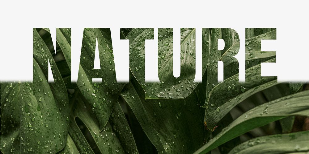 Nature word border, leaf  design typography