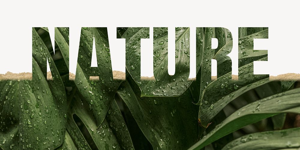 Nature word border, ripped paper, leaf design