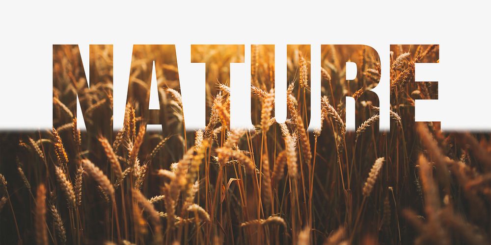 Nature word border, barley field  design typography