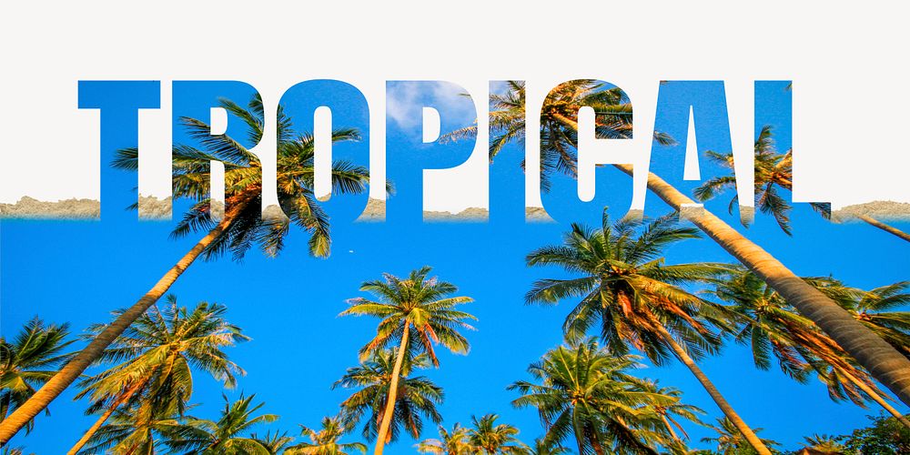Tropical word border, ripped paper, palm tree design