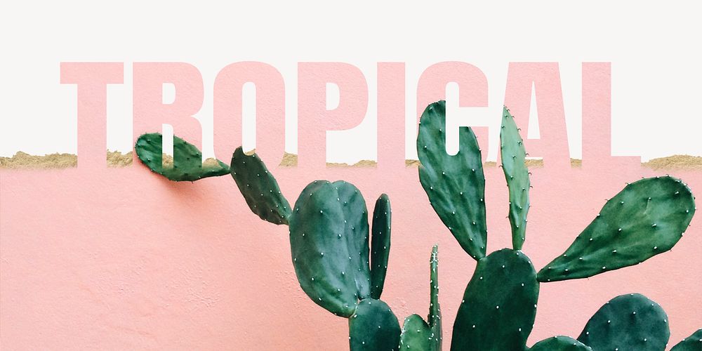 Tropical word border, ripped paper, cactus design