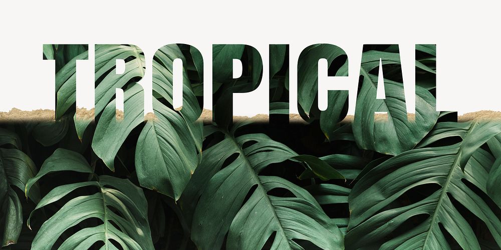 Tropical word border, ripped paper, Monstera leaf design