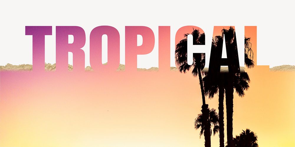 Tropical word border, ripped paper, sunset design