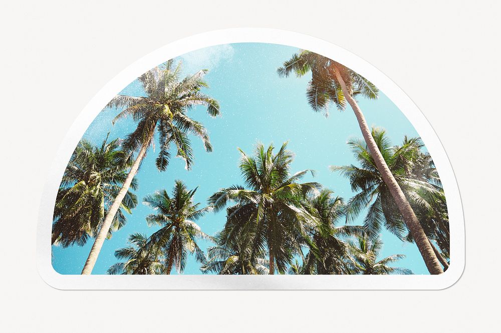 Summer palm trees, semicircle white border label