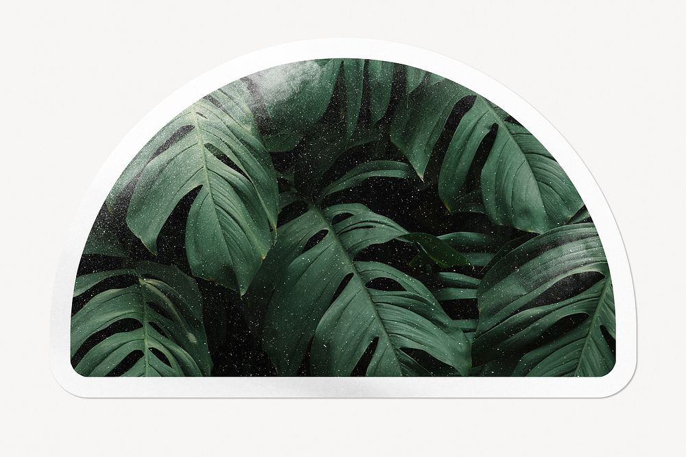 Green tropical leaves, semicircle clipart with white border