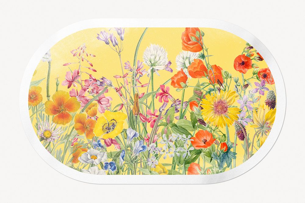 Flower vintage illustration, beautiful botanical sticker, oval rectangle clipart