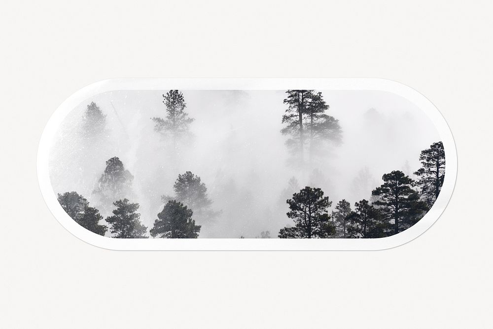 Foggy forest in black and white, long oval shape clipart with white border
