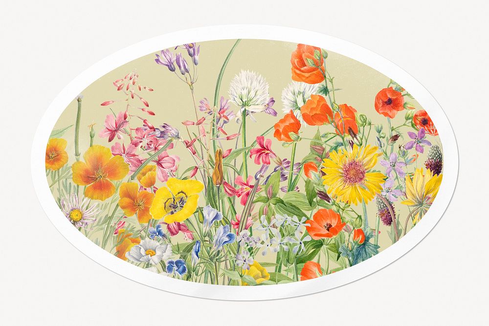 Flower vintage illustration, beautiful botanical sticker, oval clipart