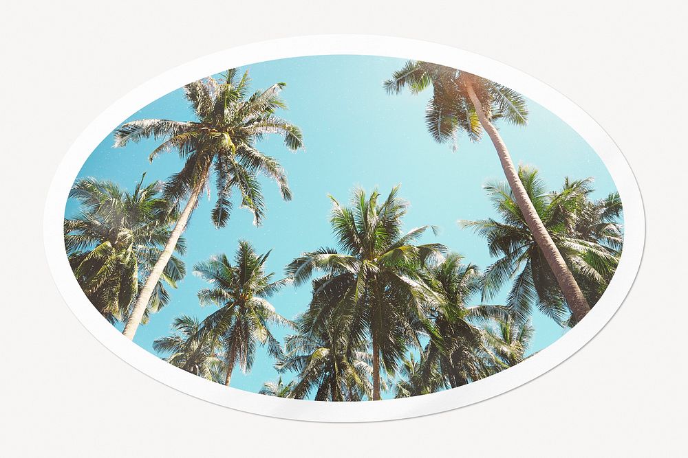 Summer palm trees, oval white border label