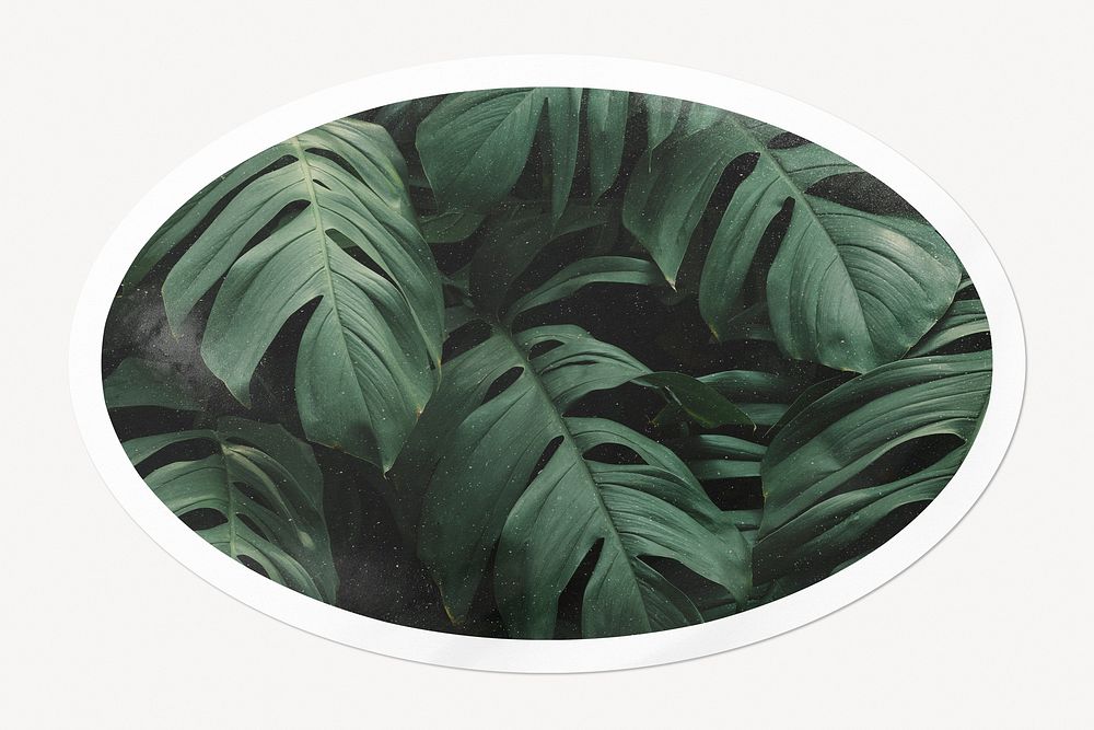 Green tropical leaves, oval white border label