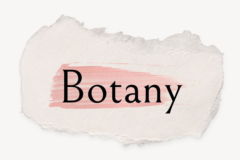 Botany word, ripped paper, pink marker stroke typography