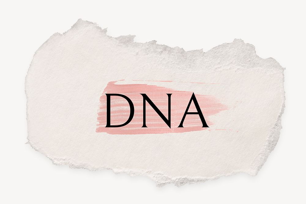 DNA word, ripped paper, pink marker stroke typography