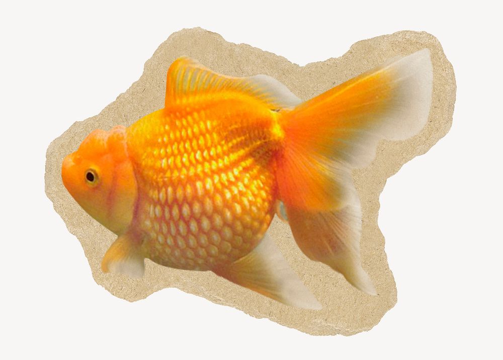 Gold fish on brown ripped paper