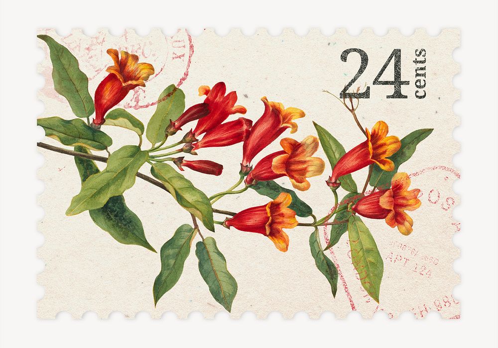 Aesthetic floral postage stamp, red crossvine flower collage element psd