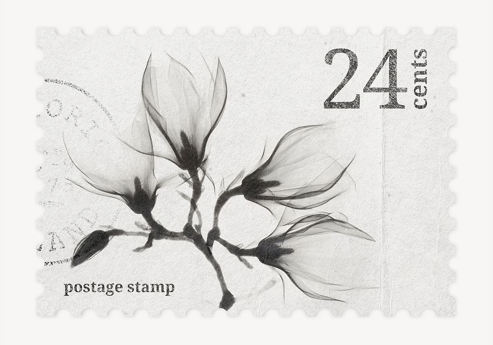 Aesthetic floral postage stamp, grayscale magnolia flower collage element psd