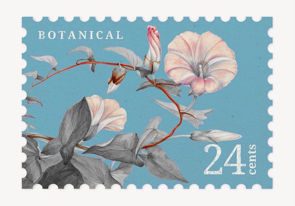 Aesthetic floral postage stamp, hedge bindweed flower collage element psd