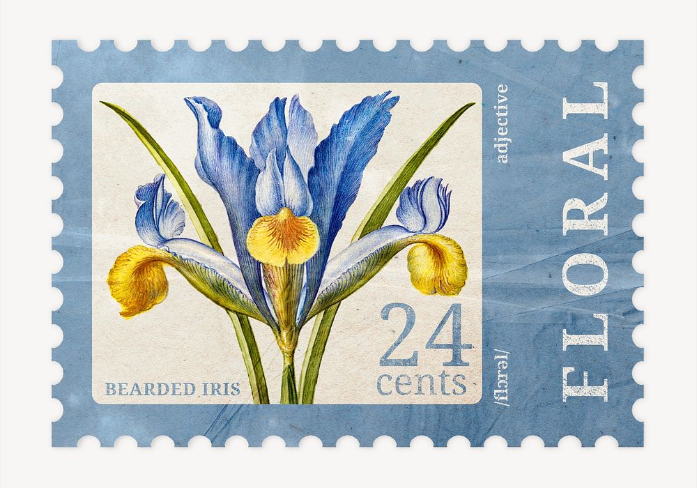Aesthetic bearded iris flower postage stamp illustration