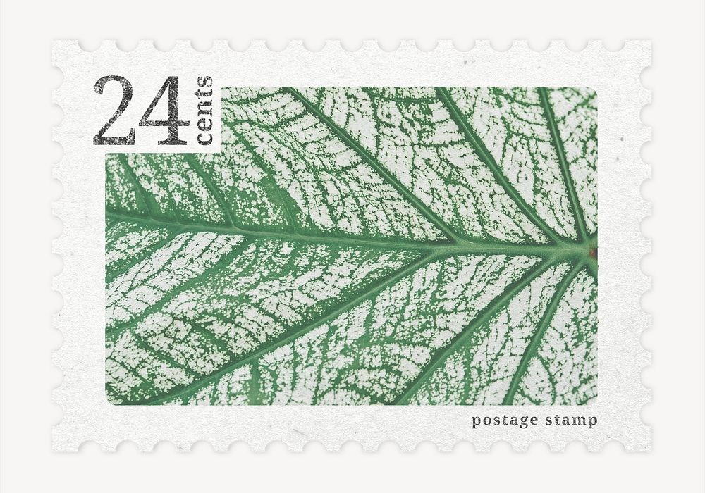 Aesthetic calathea leaf postage stamp, ephemera botanical collage element psd