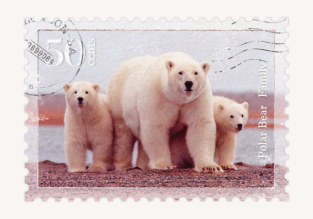Polar bear postage stamp, animal collage element psd