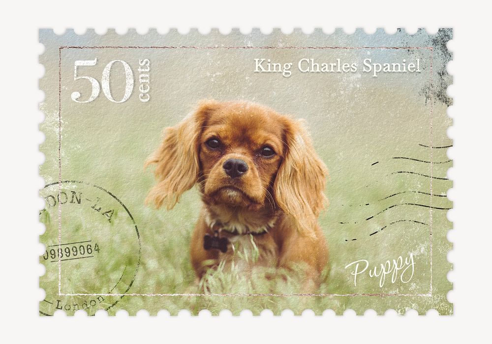 Puppy postage stamp, animal collage element psd