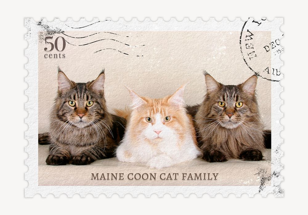 Cats postage stamp, animal collage element psd