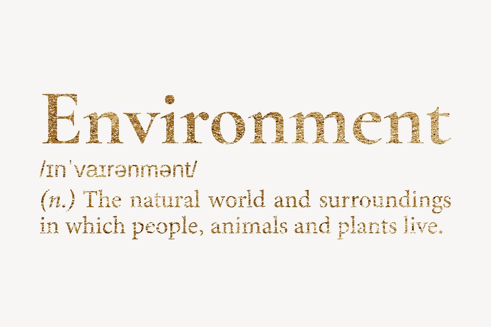 Environment definition, gold dictionary word