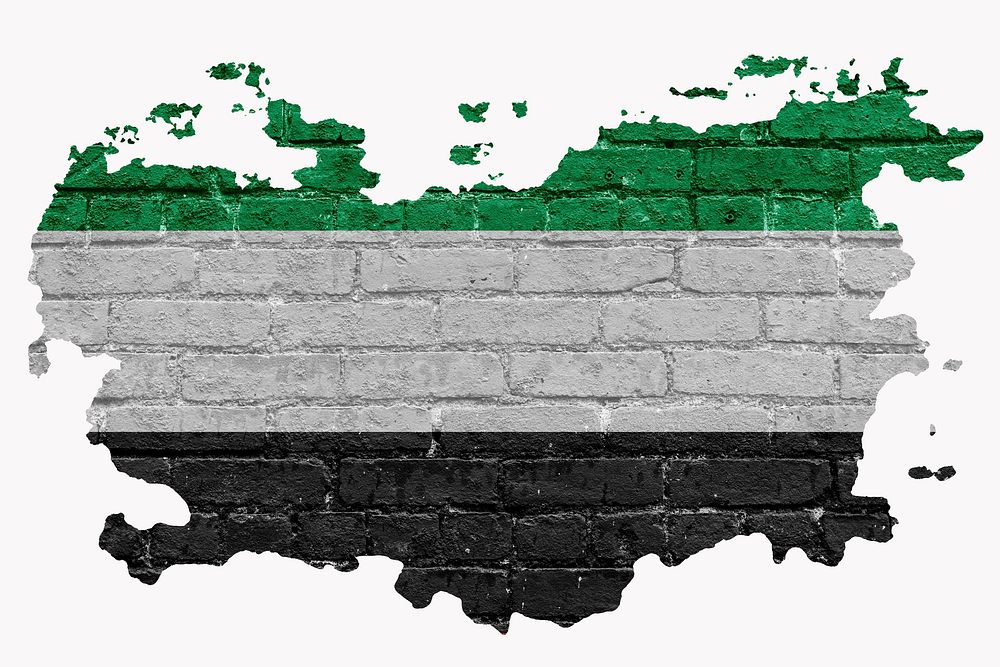 Afghanistan Resistance's flag, brick wall texture, off white design
