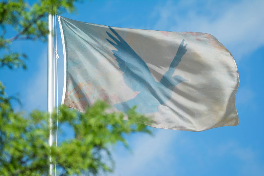 Blue bird flag, blue sky design