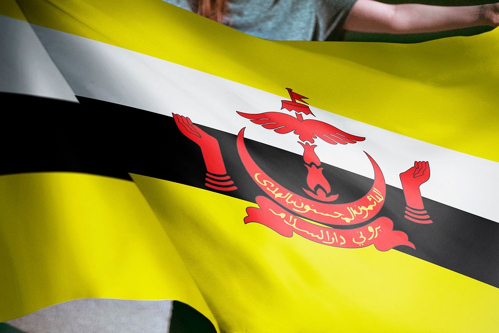 Person holding Brunei flag background, national symbol