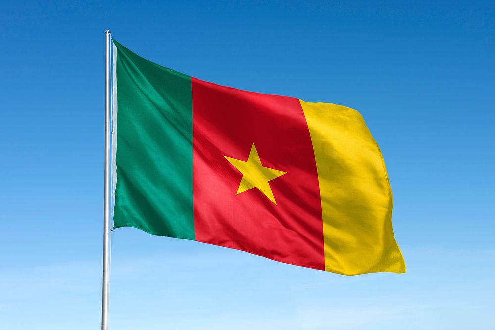 Waving Cameroon flag, national symbol, blue sky