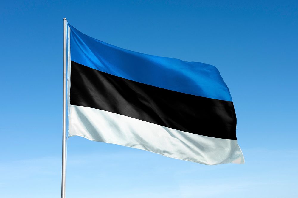 Waving Estonia flag, national symbol, blue sky