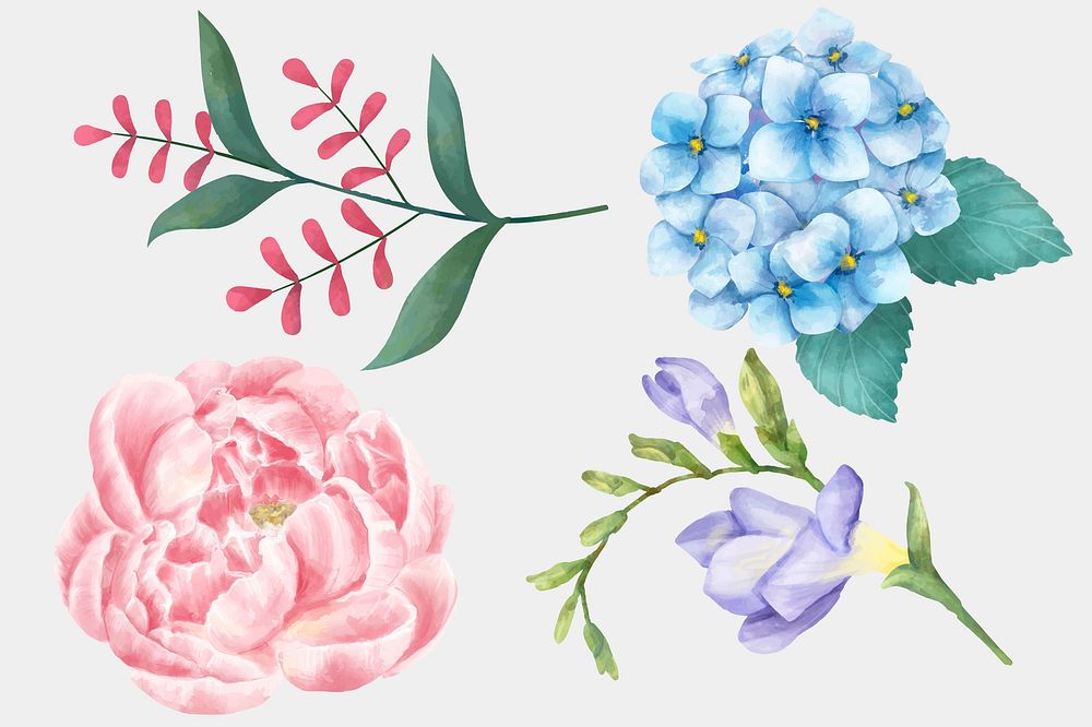 Watercolor blooming flowers vector clipart collection