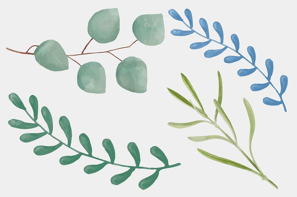 Watercolor leaves vector drawing clipart set